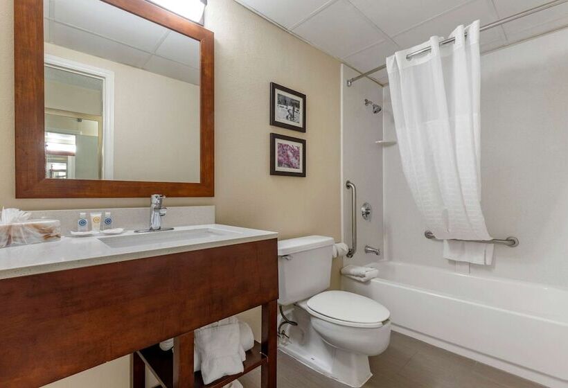 Номер Стандарт, Comfort Inn Charlotte Airport Uptown