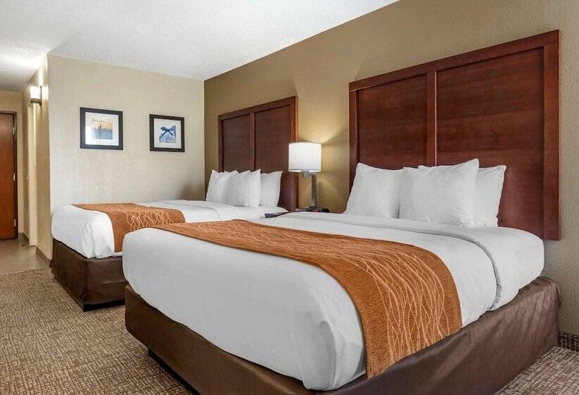 Номер Стандарт, Comfort Inn Charlotte Airport Uptown