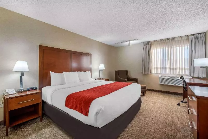 キングサイズベッドのスタンダードルーム, Comfort Inn Denver Southeast Area