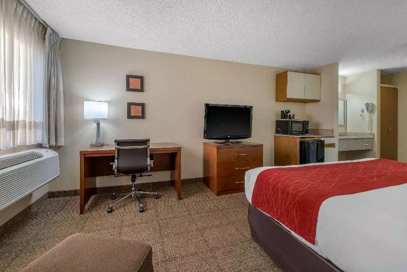 キングサイズベッドのスタンダードルーム, Comfort Inn Denver Southeast Area