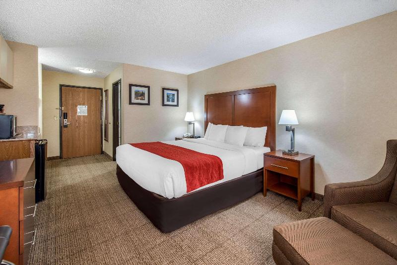 Стандартный Номер Кровать Кинг, Comfort Inn Denver Southeast Area