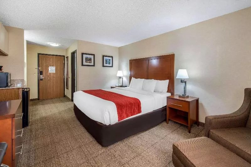キングサイズベッドのスタンダードルーム, Comfort Inn Denver Southeast Area