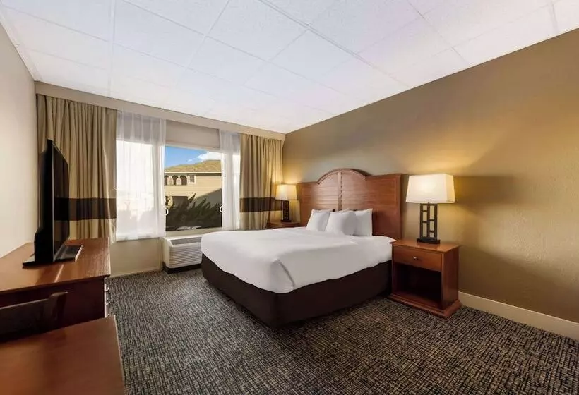 身障者適用キングサイズベッドルーム, Comfort Inn South Oceanfront