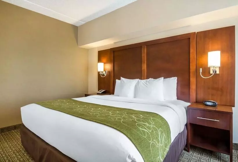 Sviitti, Comfort Suites At Woodbridge
