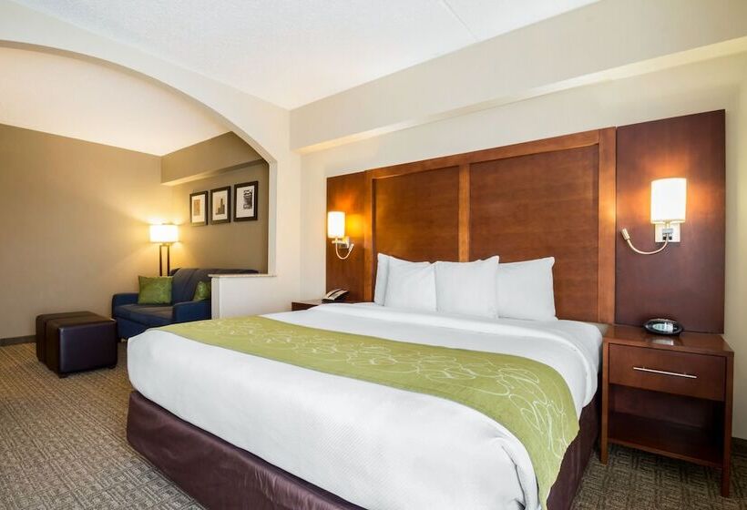 스위트, Comfort Suites At Woodbridge