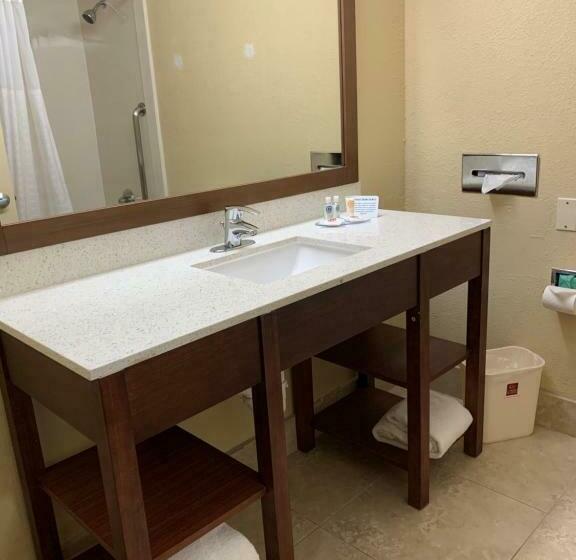 スイート, Comfort Suites Bush Intercontinental Airport