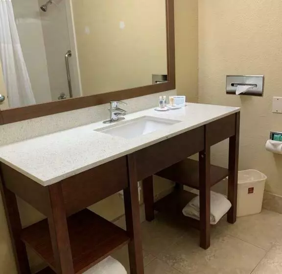 سوییت, Comfort Suites Bush Intercontinental Airport