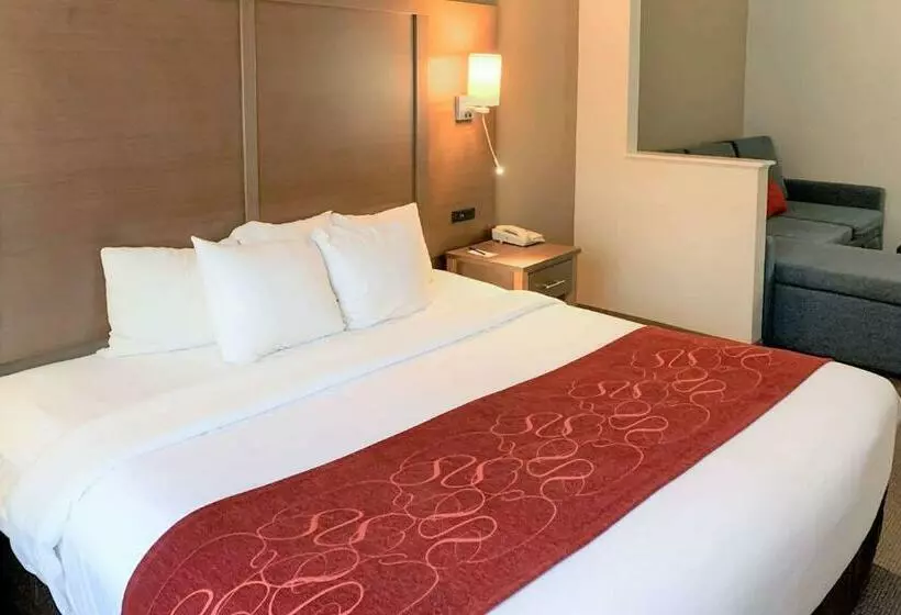 سوئیت با تخت بزرگ, Comfort Suites Bush Intercontinental Airport