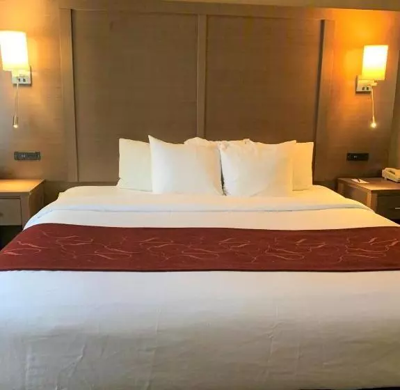 سوئیت با تخت بزرگ, Comfort Suites Bush Intercontinental Airport