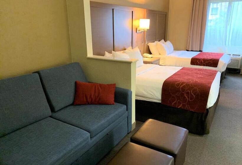 سوئیت برای معلولان, Comfort Suites Bush Intercontinental Airport
