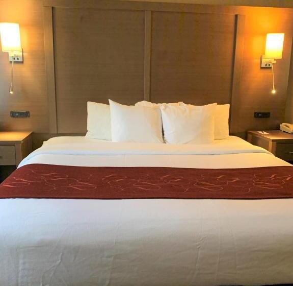 身障者適用スイートルーム, Comfort Suites Bush Intercontinental Airport