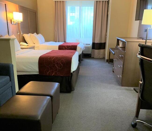 身障者適用スイートルーム, Comfort Suites Bush Intercontinental Airport