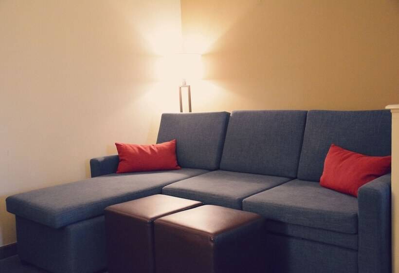 سوئیت برای معلولان, Comfort Suites Bush Intercontinental Airport