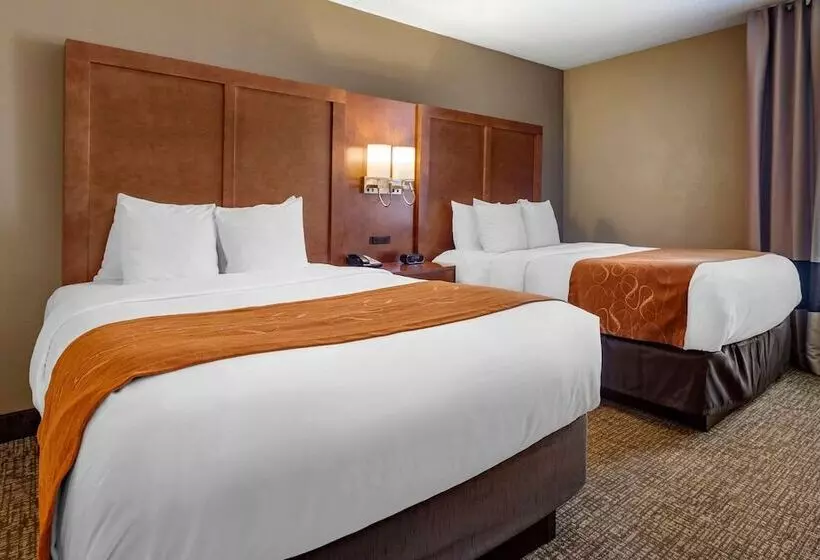 スイート, Comfort Suites Bethlehem Near Lehigh University And Lvi Airport