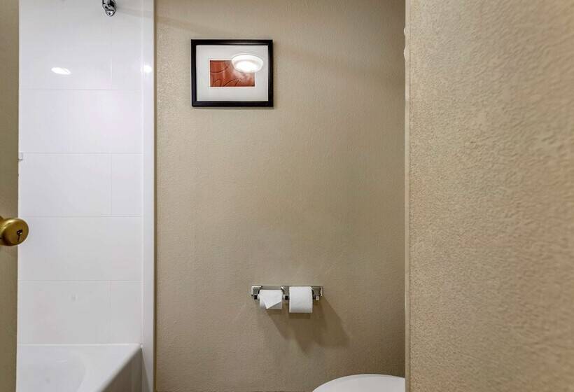 스위트, Comfort Suites Bethlehem Near Lehigh University And Lvi Airport