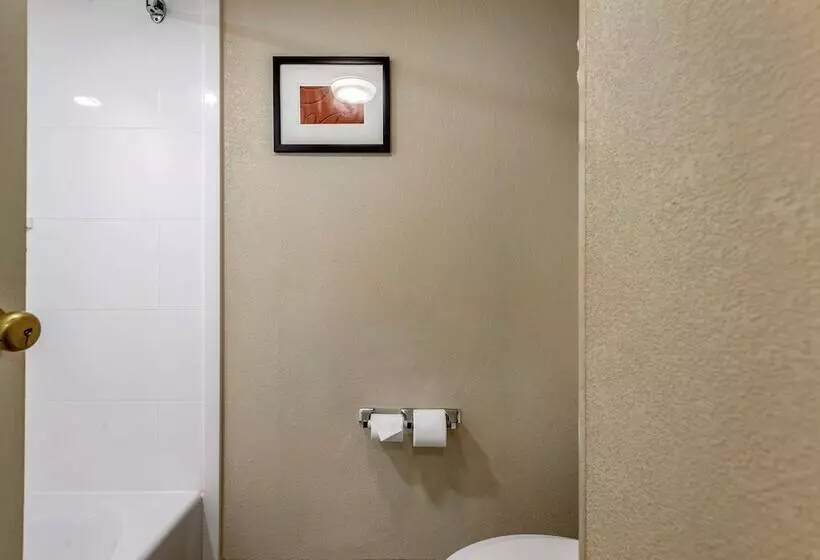 スイート, Comfort Suites Bethlehem Near Lehigh University And Lvi Airport