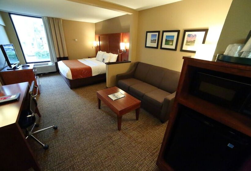 Люкс, Comfort Suites Bethlehem Near Lehigh University And Lvi Airport