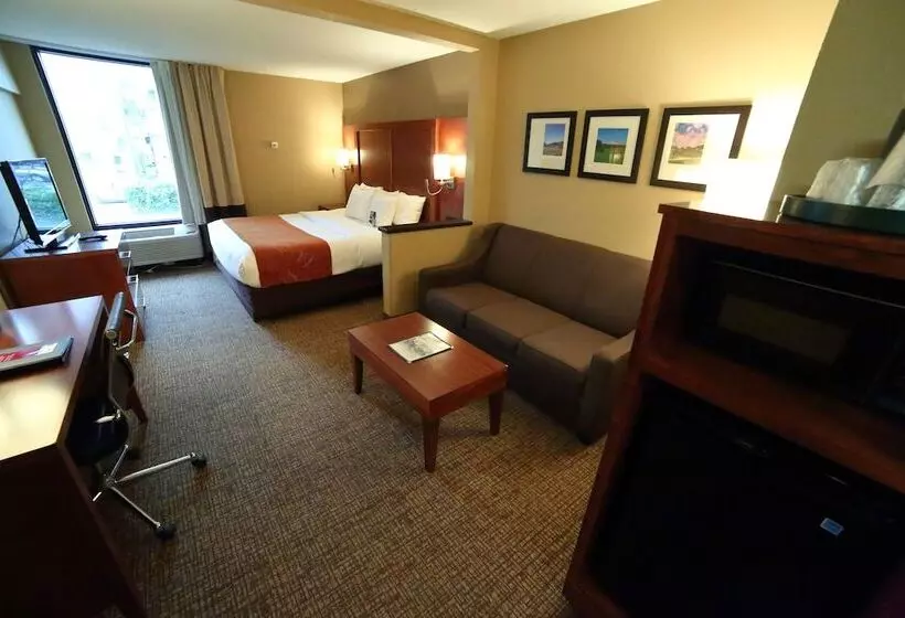 スイート, Comfort Suites Bethlehem Near Lehigh University And Lvi Airport