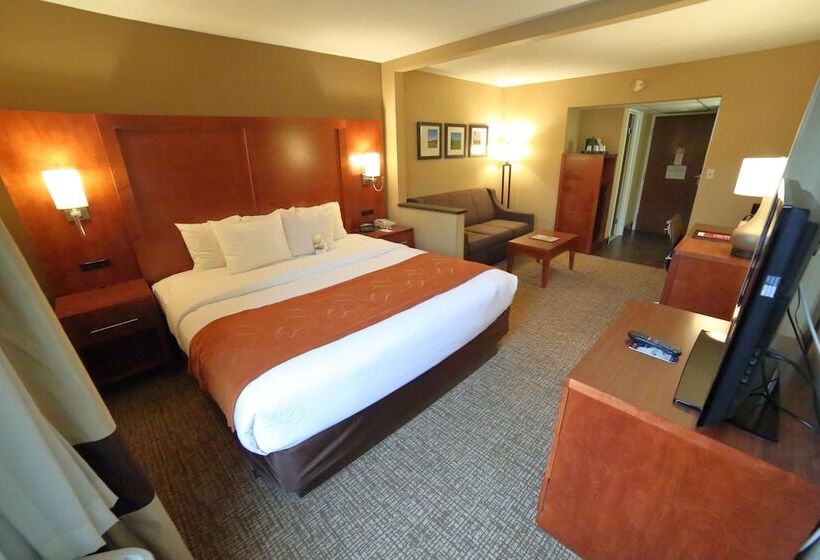 Люкс, Comfort Suites Bethlehem Near Lehigh University And Lvi Airport