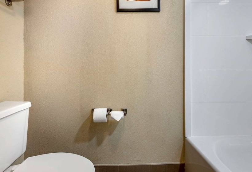 Люкс, Comfort Suites Bethlehem Near Lehigh University And Lvi Airport