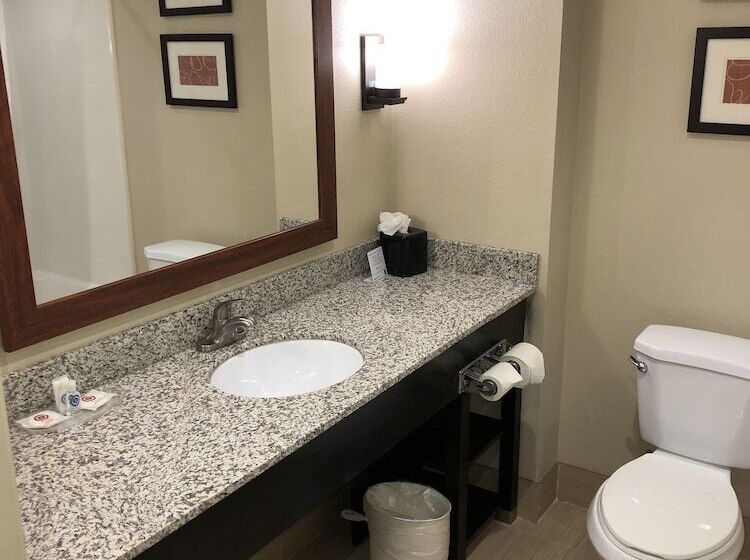 套房, Comfort Suites University  Research Park