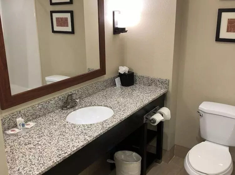 سوییت, Comfort Suites University  Research Park
