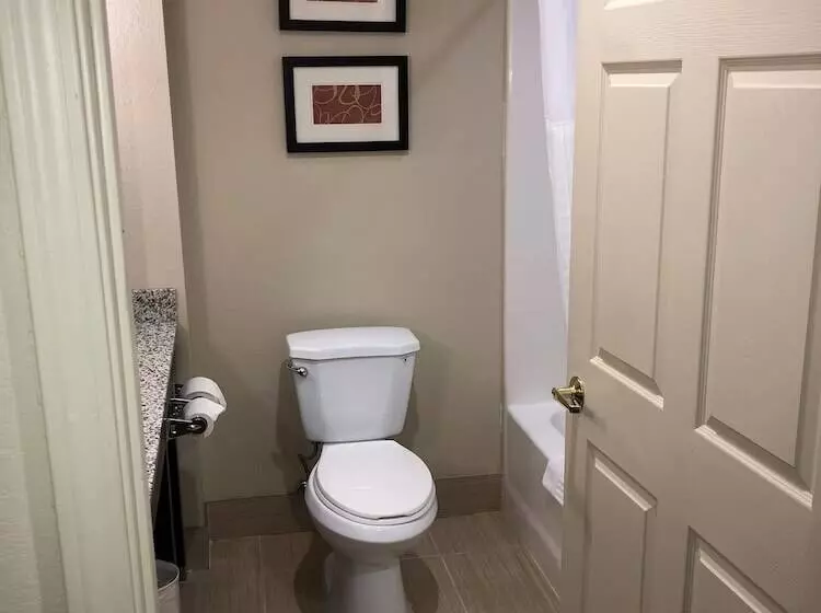 سوییت, Comfort Suites University  Research Park