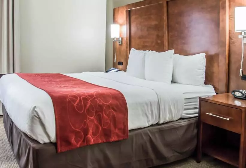 سوییت, Comfort Suites University  Research Park