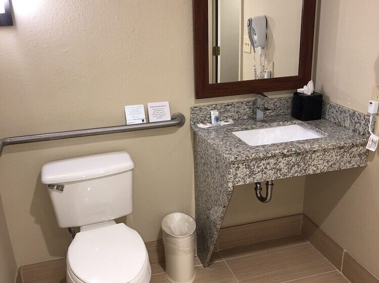 适合残疾人士使用的套间, Comfort Suites University  Research Park