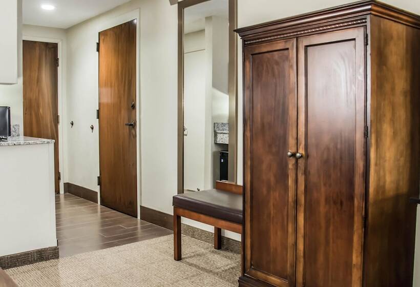 适合残疾人士使用的套间, Comfort Suites University  Research Park