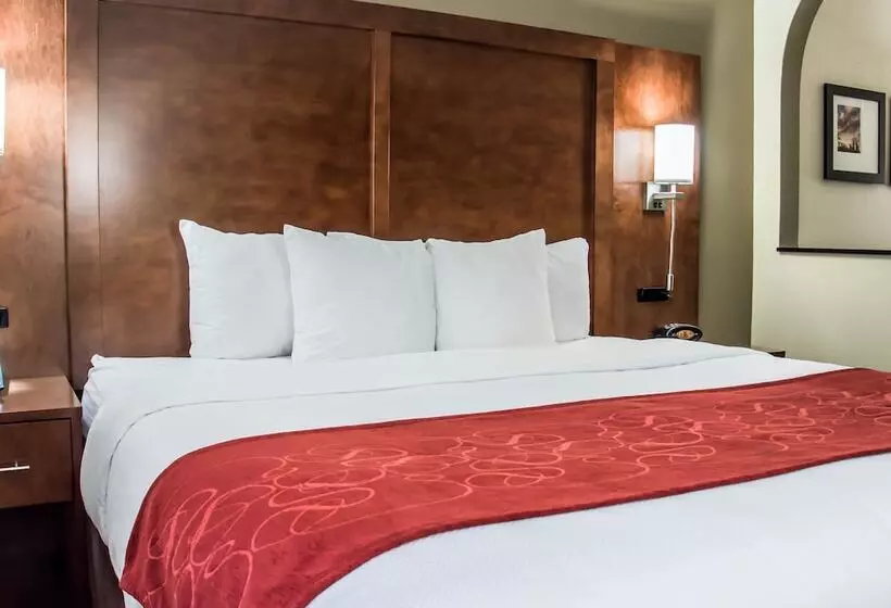 سوئیت برای معلولان, Comfort Suites University  Research Park