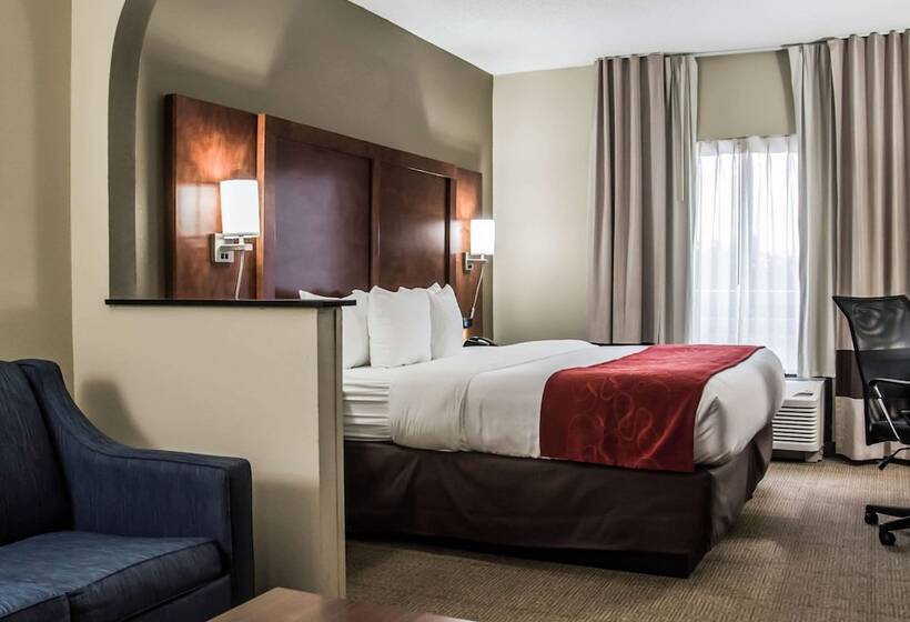 适合残疾人士使用的套间, Comfort Suites University  Research Park