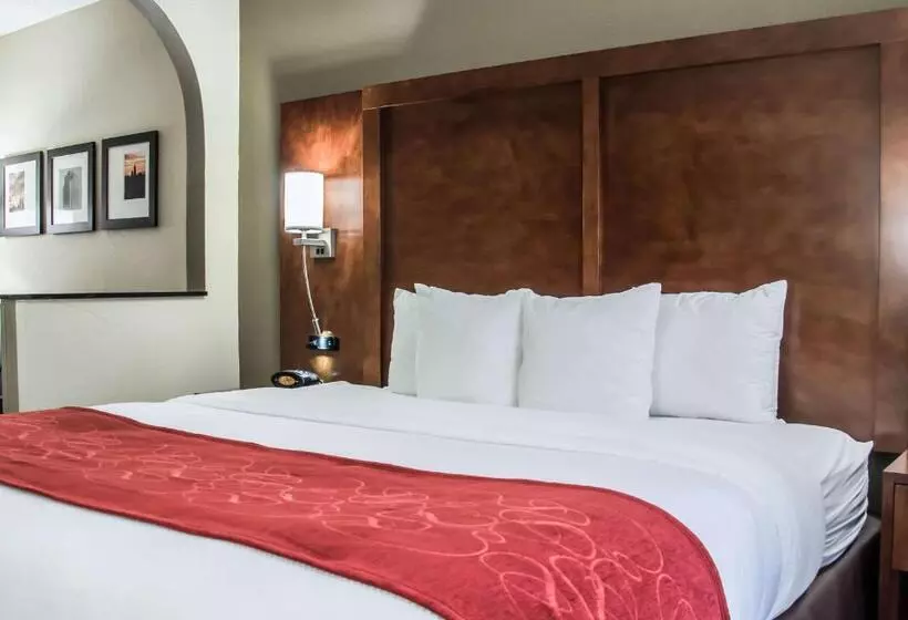 سوئیت با تخت بزرگ, Comfort Suites University  Research Park