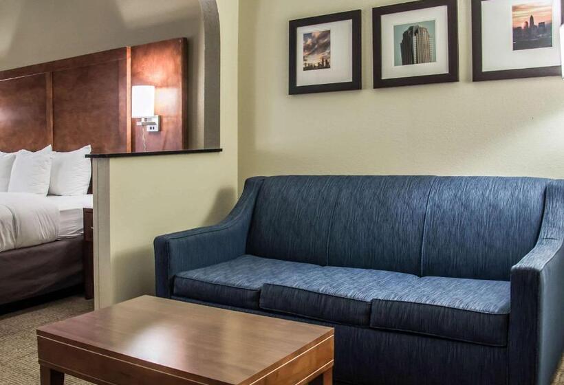 带大床的套房, Comfort Suites University  Research Park