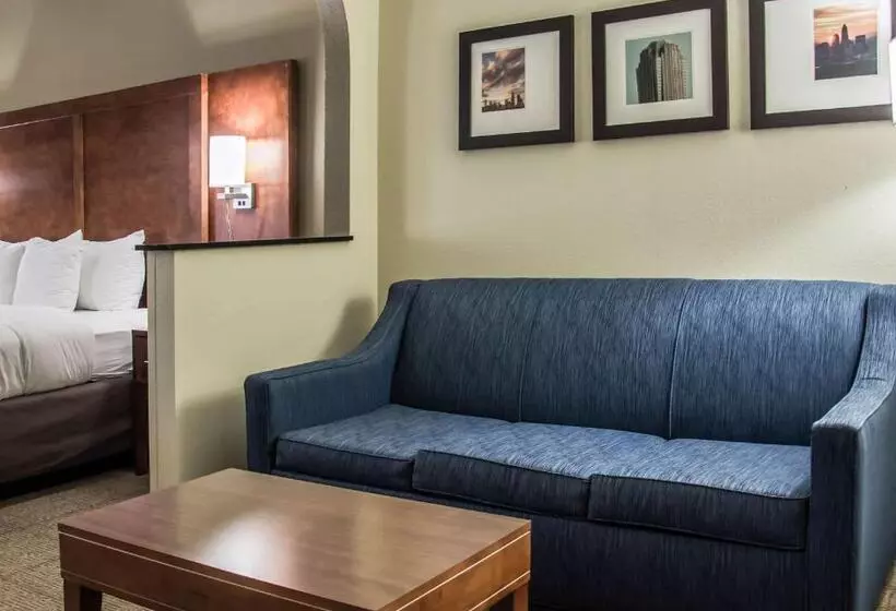 سوئیت با تخت بزرگ, Comfort Suites University  Research Park