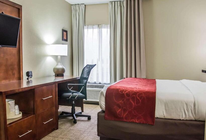 带大床的套房, Comfort Suites University  Research Park