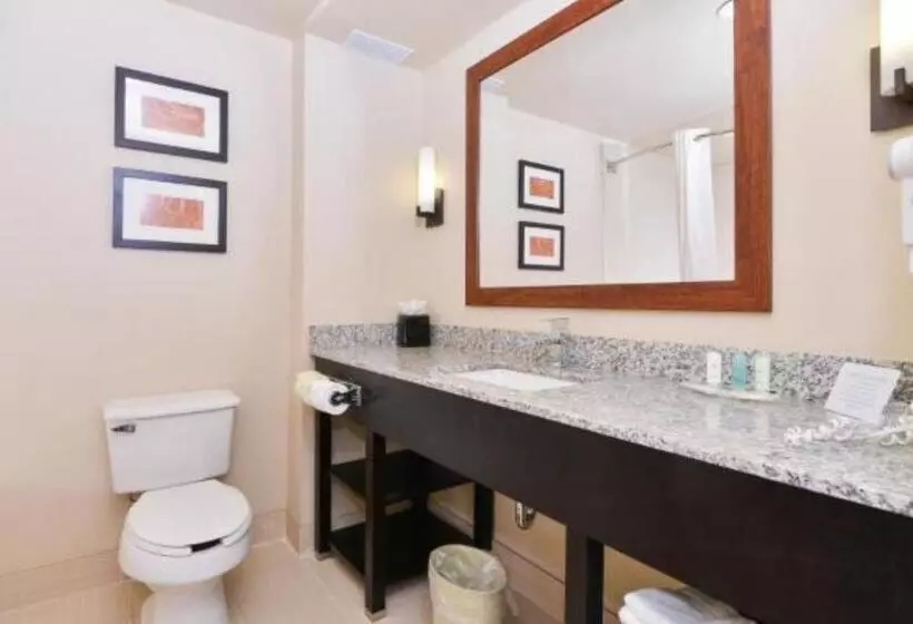 سوئیت با تخت بزرگ, Comfort Suites University  Research Park