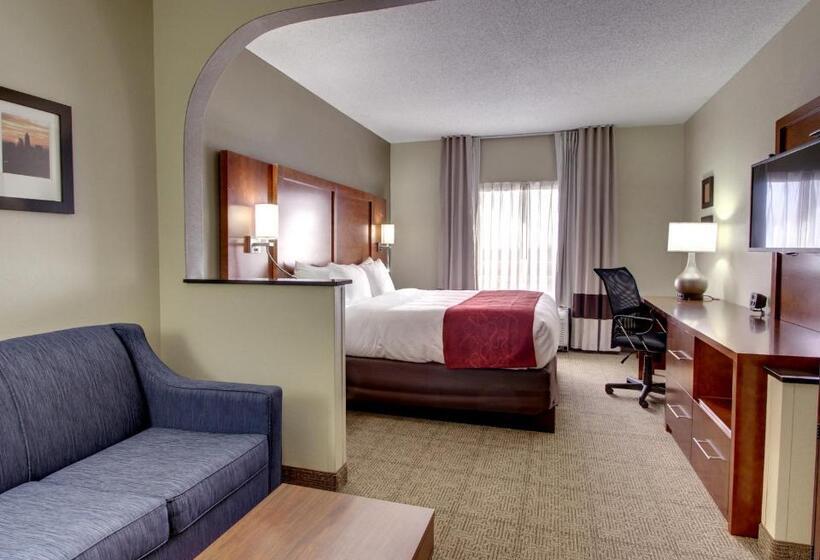 带大床的套房, Comfort Suites University  Research Park