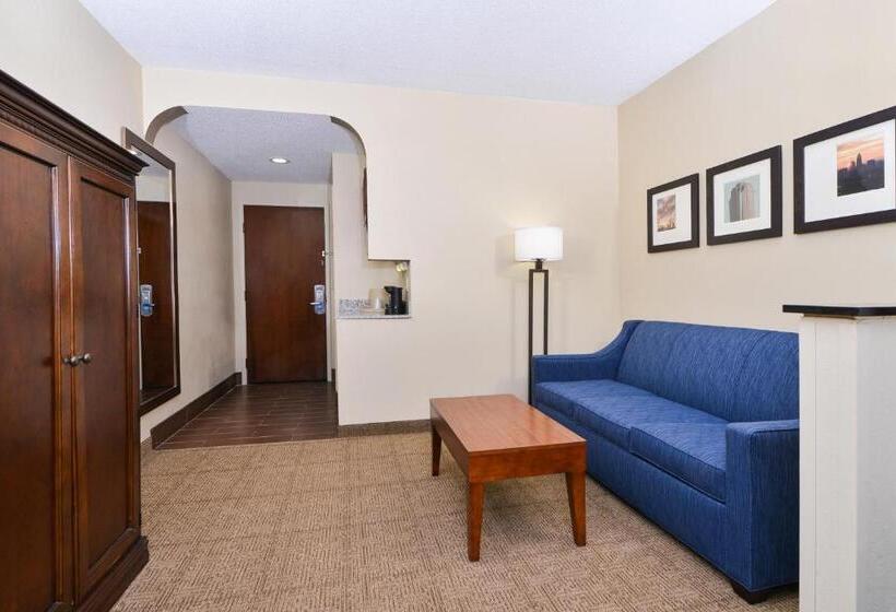 带大床的套房, Comfort Suites University  Research Park