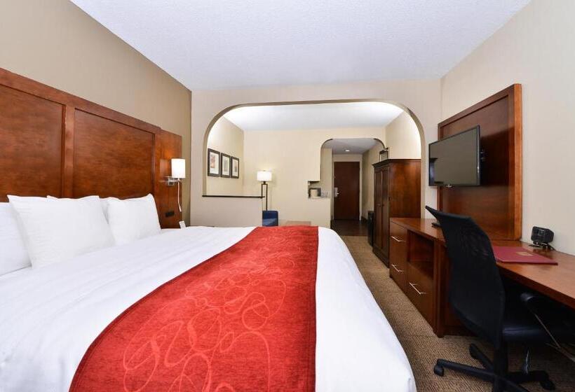 带大床的套房, Comfort Suites University  Research Park