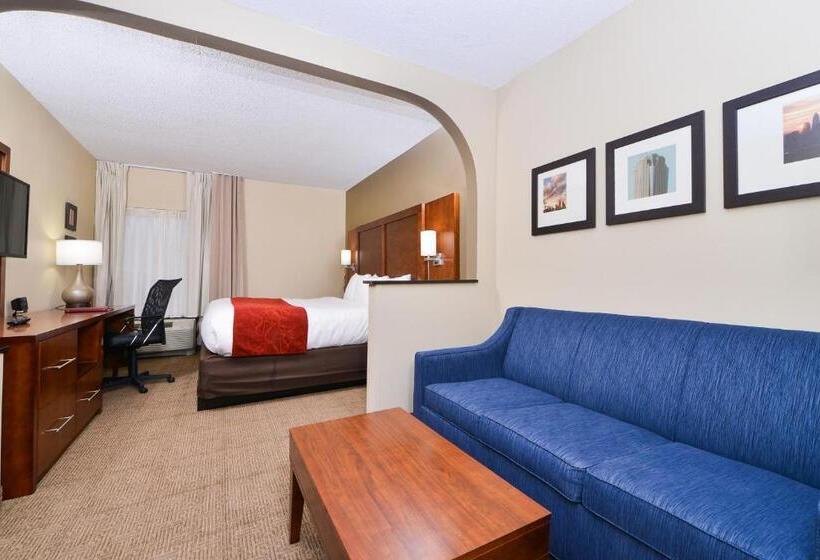 适合残疾人士使用的套间, Comfort Suites University  Research Park