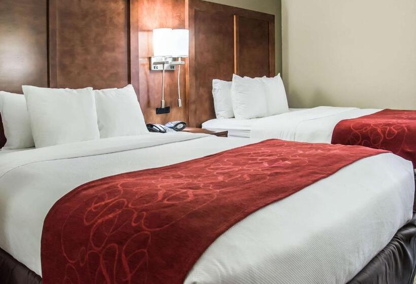 套房, Comfort Suites University  Research Park