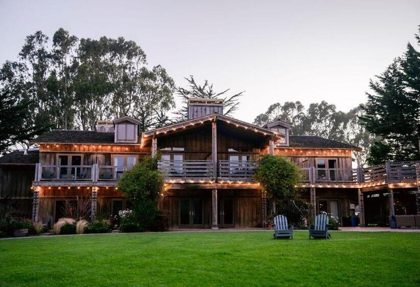 غرفة سوبيريور سرير كينج, Costanoa Lodge And Camp