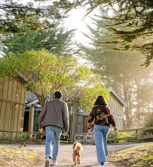 إستوديو قياسى ذو إطلالة, Costanoa Lodge And Camp