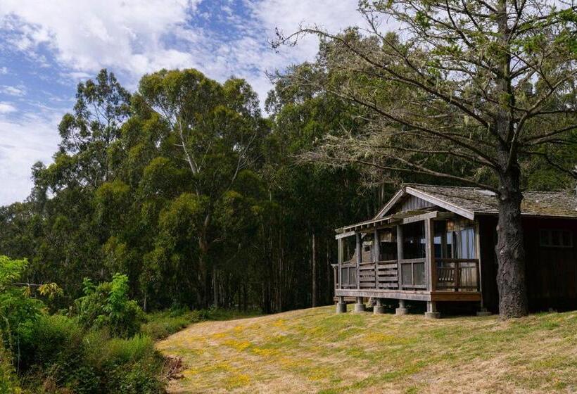 إستوديو قياسى ذو إطلالة, Costanoa Lodge And Camp