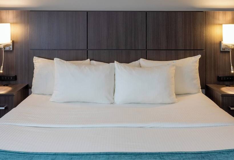 スイート, Paynesville Inn & Suites