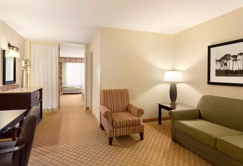 ハイドロマッサージバス付きスイート, Country Inn & Suites By Radisson, Coon Rapids, Mn