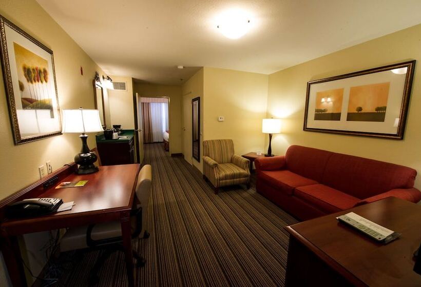 适合残疾人士使用的套间, Country Inn & Suites By Radisson, Fort Worth, Tx