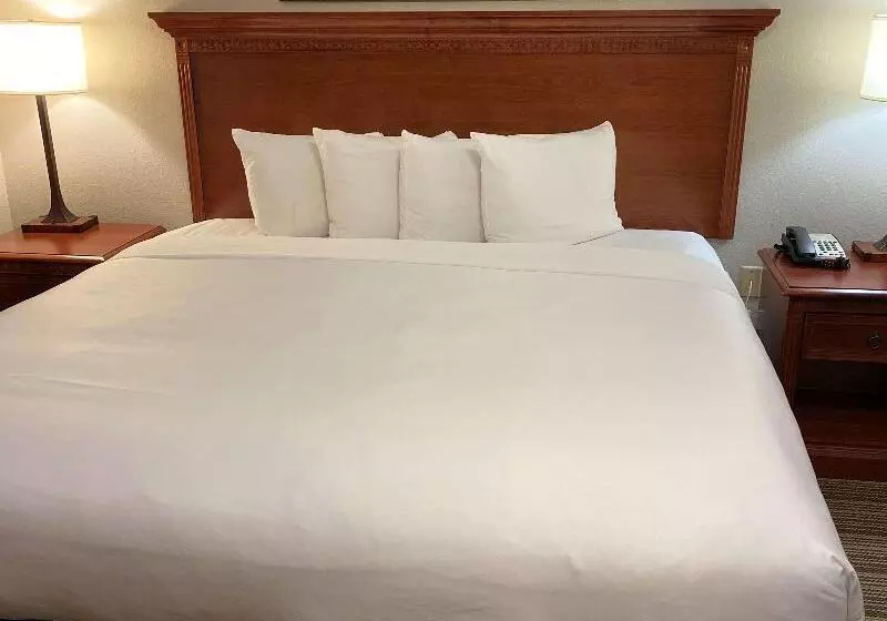 身障者適用スタンダードルーム, Country Inn & Suites By Radisson, Fort Worth, Tx