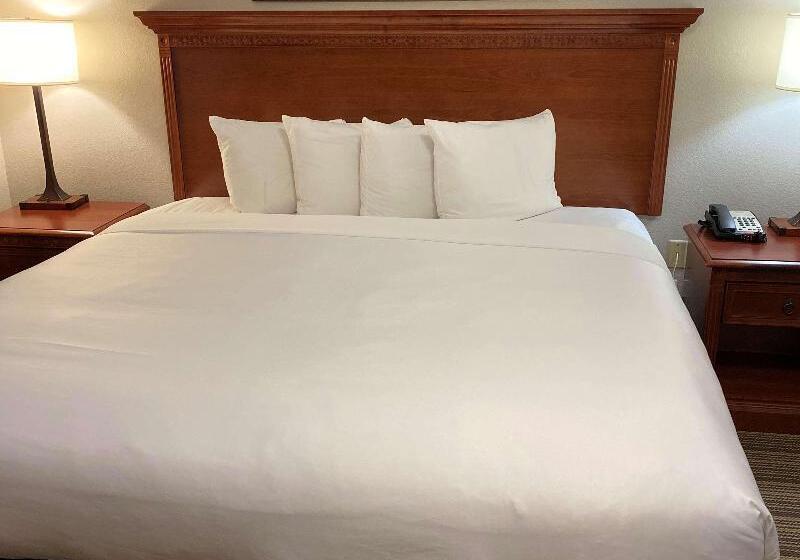 适合残疾人士使用的套间, Country Inn & Suites By Radisson, Fort Worth, Tx